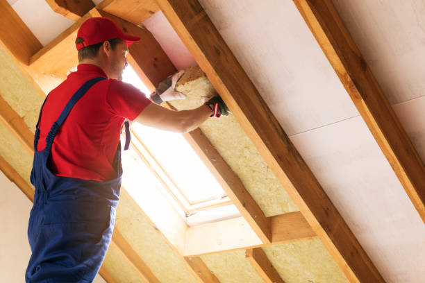 Insulation Air Sealing in East Prairie, MO